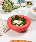 1Coralmattebowl